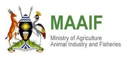MAAIF